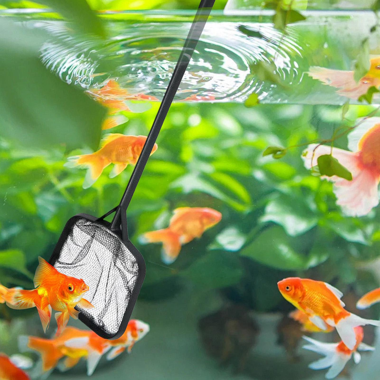 Pool Nets for Cleaning Portabl - Marine Aquarium review and price
