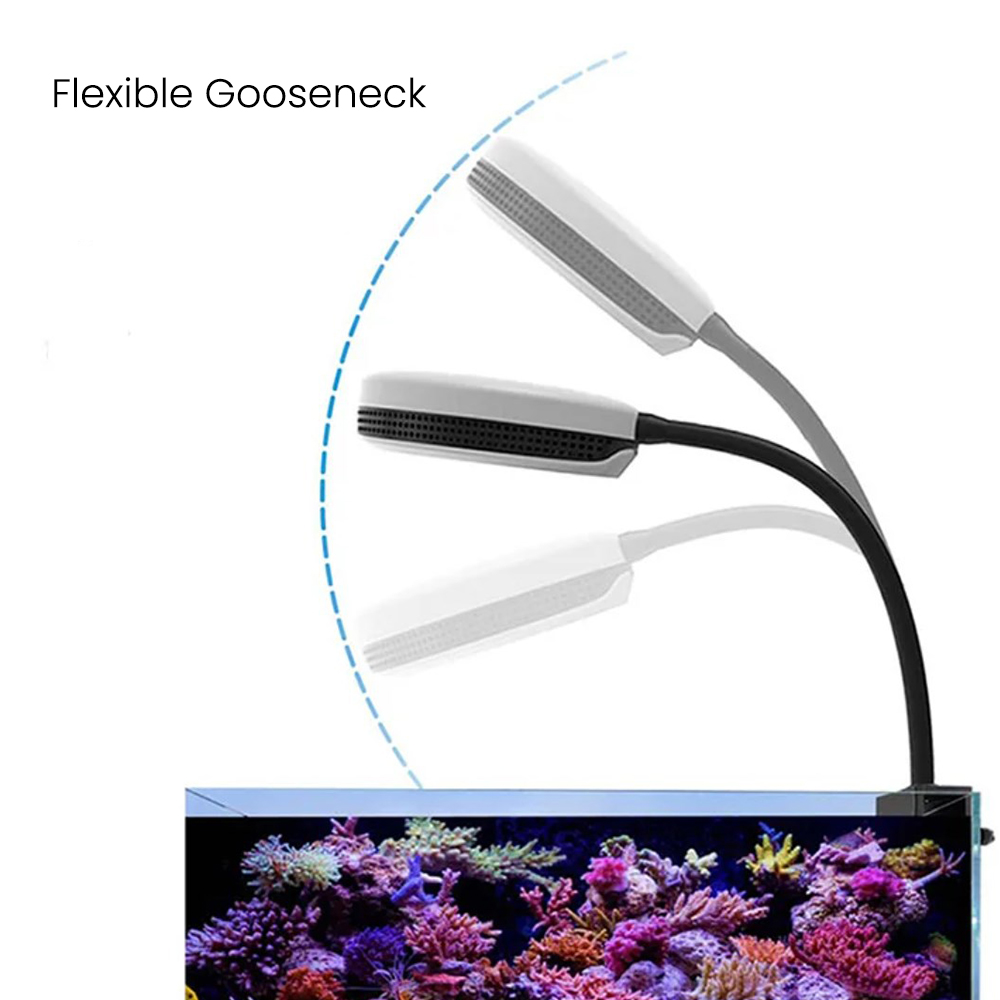 Spectra SP20 20W Aquarium LED  - Reef Lighting review and price