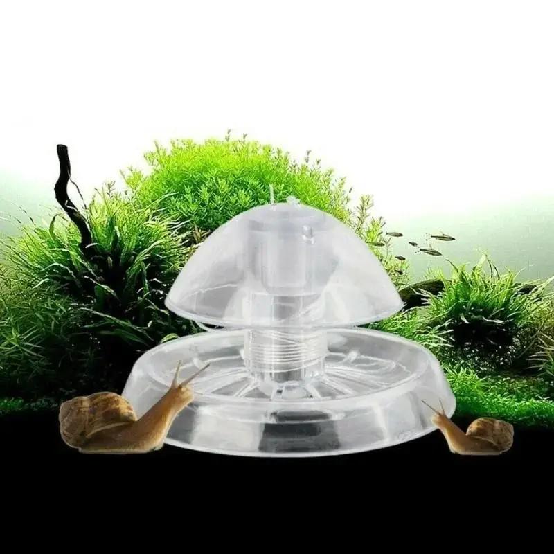 2026 New 6/8CM Clear Plastic S - Marine Aquarium review and price