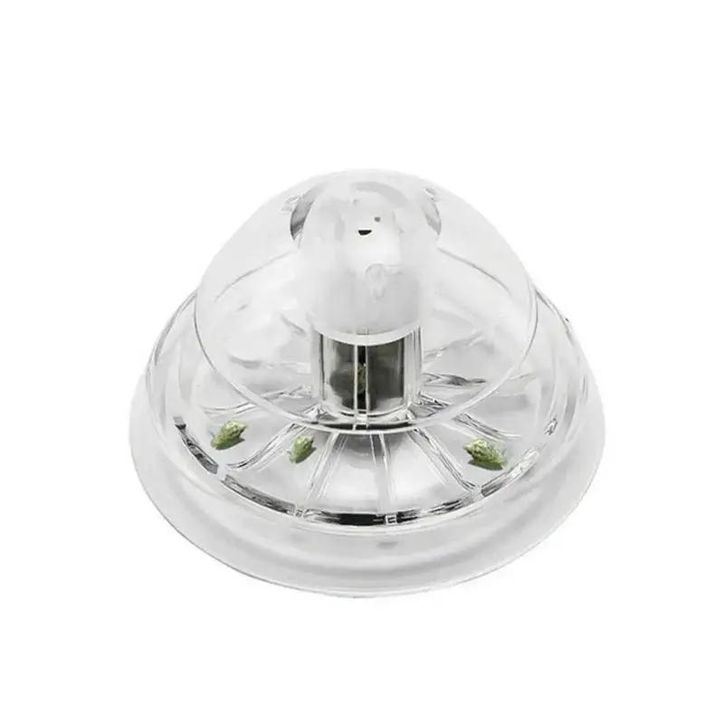 2026 New 6/8CM Clear Plastic S - Marine Aquarium review and price