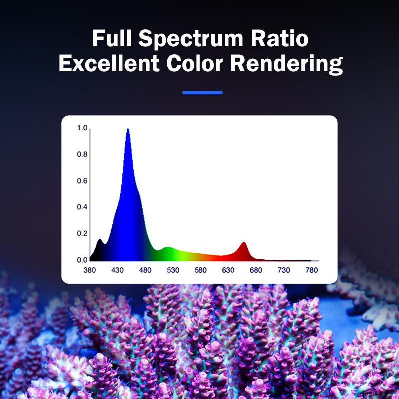 Hot KASSRAY T169/T215 CREEs LE - Reef Aquarium review and price