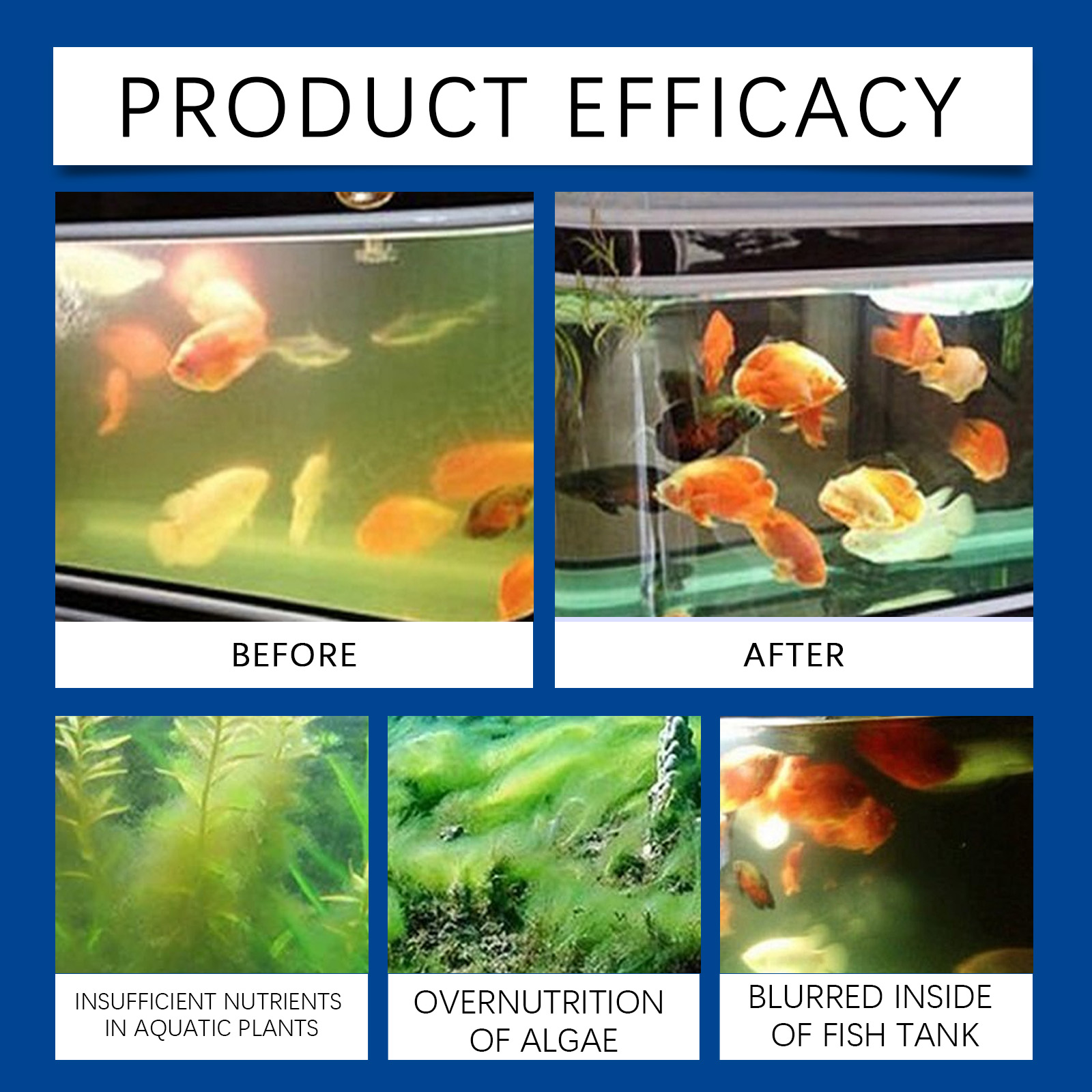 Aquarium Water Clarifier 100ml - Saltwater Tank review and price