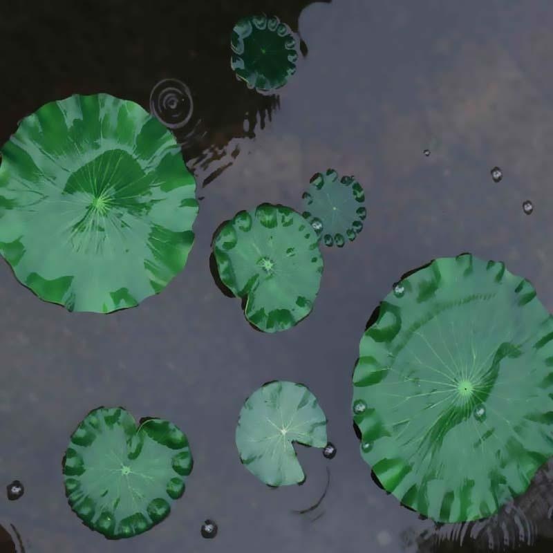 2026 Artificial Water Lily Lot - Marine Fish Tank review and price