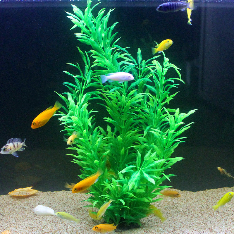 50CM Artificial Fish Tank Rare - Marine Fish Tank review and price