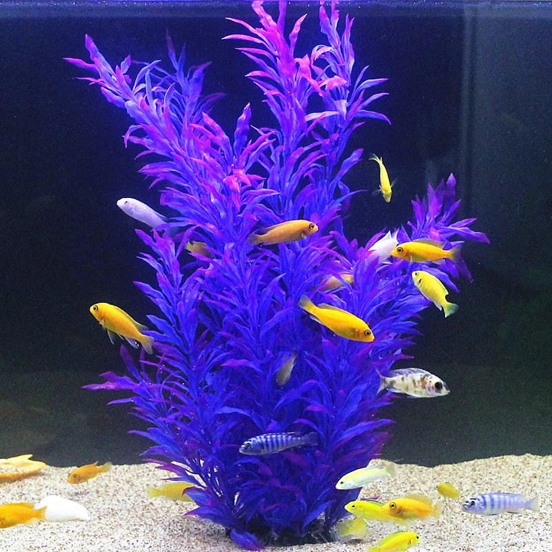 50CM Artificial Fish Tank Rare - Marine Fish Tank review and price