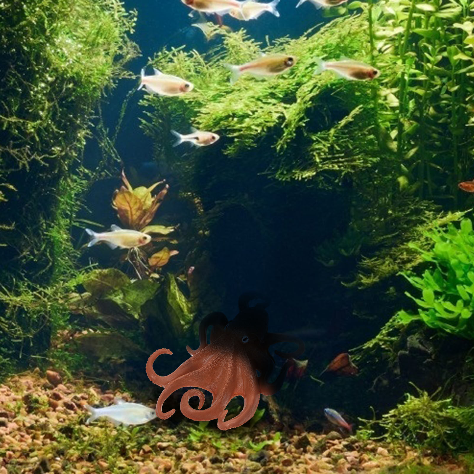 1Pcs Octopus Simulation Sea An - Ocean Aquarium review and price